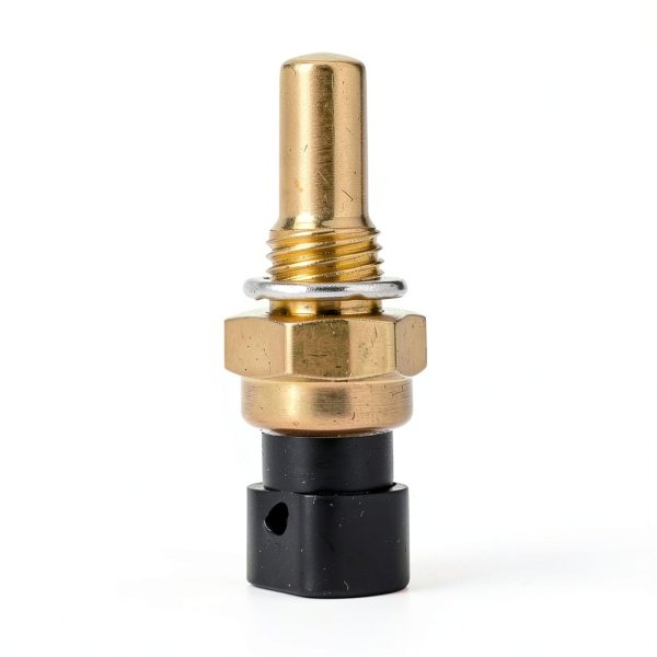 AHL Brass Water Temperature Switch-6
